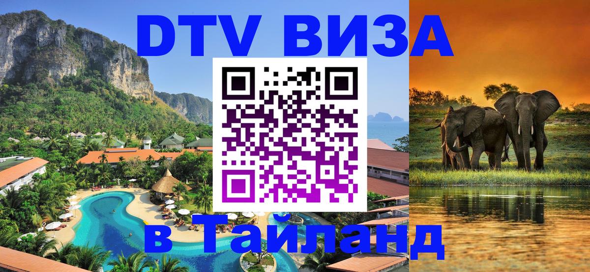 Оформление DTV визы под ключ: стоимость и тарифы, только загранпаспорт - 